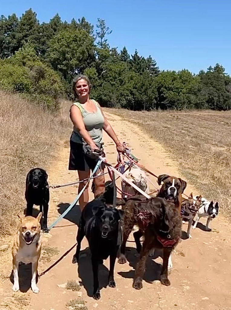 Owner, Kira Ruvo, holding a group of dogs on a walk.